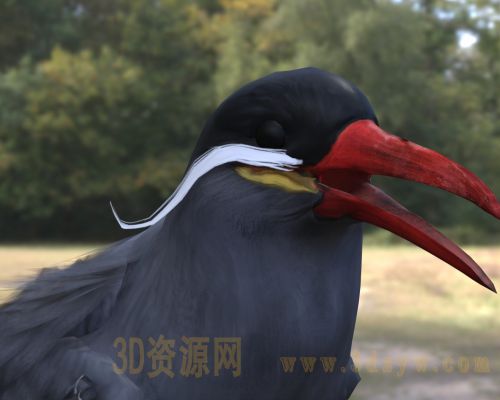 /Uploads/Images/2026-04-10/3dzyw_works_69d89dd251524.jpg