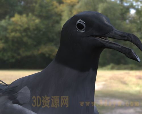/Uploads/Images/2026-04-13/3dzyw_works_69dc8ed06fcc7.jpg