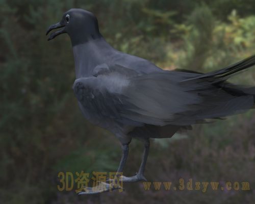 /Uploads/Images/2026-04-13/3dzyw_works_69dc8ed25a17d.jpg