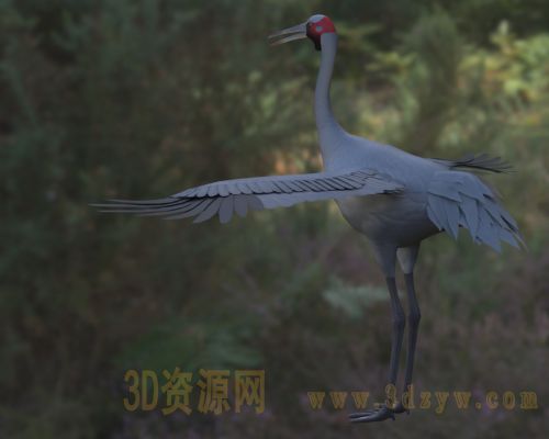 /Uploads/Images/2026-04-13/3dzyw_works_69dc957ad6f6d.jpg