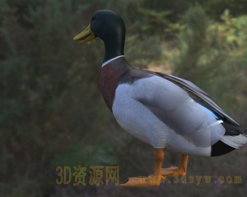 /Uploads/Images/2026-05-11/3dzyw_works_6a01a567ac7d5.jpg