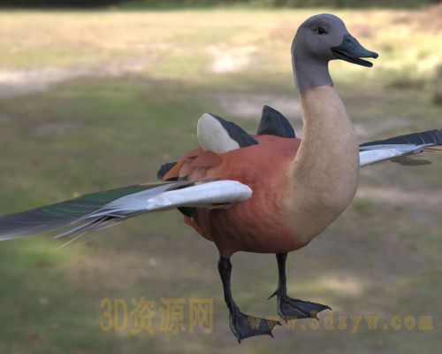 /Uploads/Images/2026-05-11/3dzyw_works_6a01b51204b76.jpg